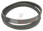 Smeg Poly v belt - 751610179 Elastic Poly-v Belt