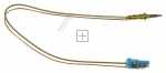Thermocouple - 8070219 Thermo Switch 310mm Castfutura 2017 [Amica]